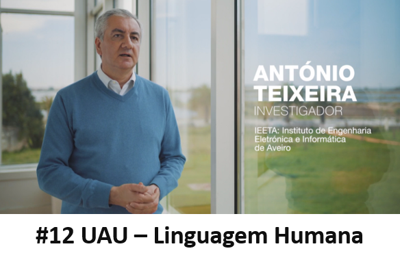 Get inspired by António Teixeira