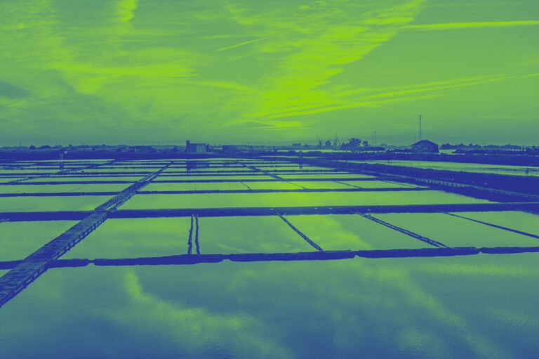 IEETA Hosts RECPAD 2025: National Conference on Pattern Recognition