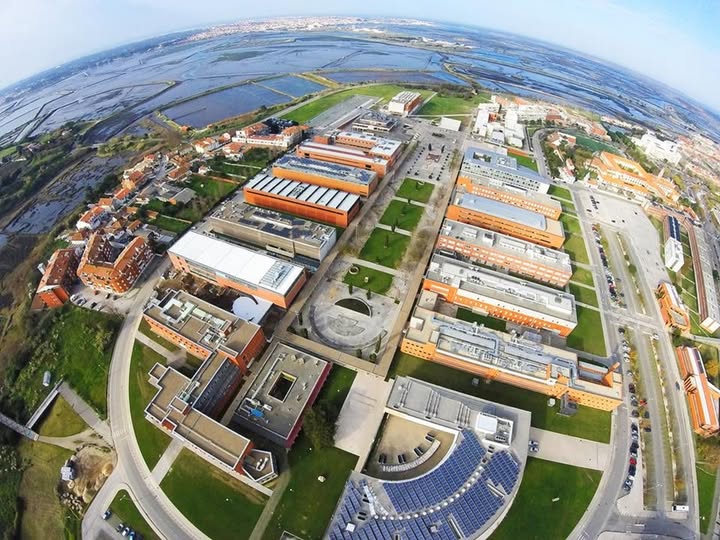 Armando Pinho and Paulo Ferreira on the list of the most influential in the world